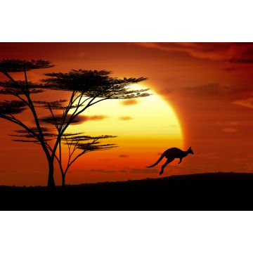 Lais Puzzle - Känguru im Sonnenuntergang, Australien - 2.000 Teile