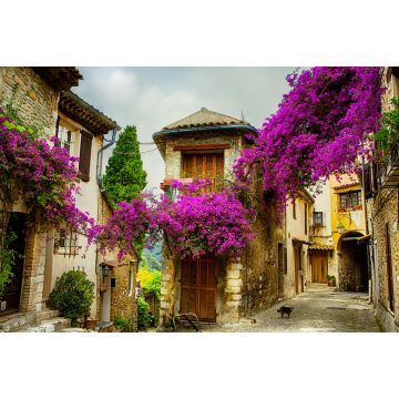 Lais Puzzle - Provence - 2.000 Teile