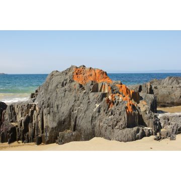 Lais Puzzle - Spiky Beach, Küste bei Swansea, Tasmanien, Australien - 2.000 Teile