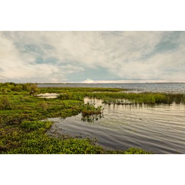 Lais Puzzle - Feuchtgebiete im Naturschutzgebiet Esteros del Ibera National Park, Colonia Carlos Pellegrini, Corrientes, Argentinien - 2.000 Teile