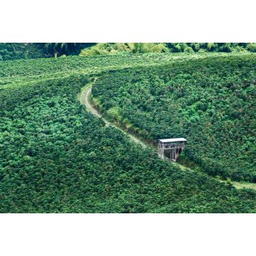 Lais Puzzle - Kaffee- und Orangenanbau in Chinchiná Caldas, Kolumbien, Kaffee-Kulturlandschaft - 2.000 Teile