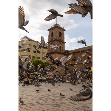 Lais Puzzle - Cali, Valle del Cauca, Kolumbien - 2.000 Teile