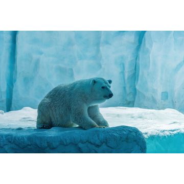 Lais Puzzle - Eisbär im Chimelong Ocean Kingdom, China - 2.000 Teile