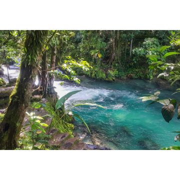 Lais Puzzle - Quelle des Flusses Tioyacu in Rioja Tarapoto, Peru - 2.000 Teile