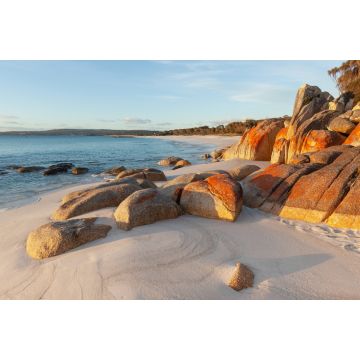 Lais Puzzle - Mit Flechten bedeckte Felsen. Bay of Fires. Tasmanien. Australien - 2.000 Teile