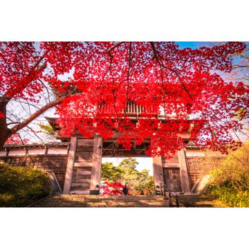 Lais Puzzle - Akita Senshu Park Tor, Japan - 2.000 Teile