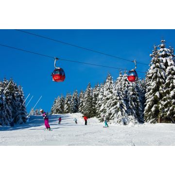 Lais Puzzle - Blick auf den Harz, Winterlandschaft im Oberharz, Bundesland Niedersachsen, Deutschland. - 2.000 Teile