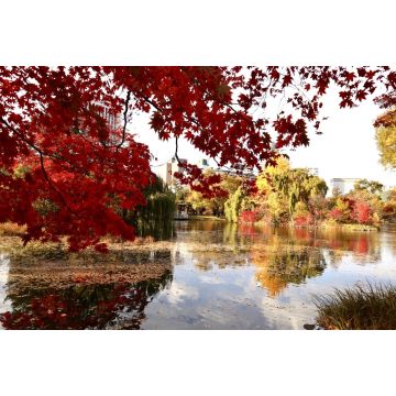 Lais Puzzle - Nakajima Park (Sapporo), Japan - 2.000 Teile