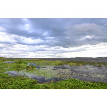 Lais Puzzle - Landschaft mit Fluss und blauem Himmel, Iberá-Feuchtgebiet (Spanisch: Esteros del Iberá ) Argentinien - 2.000 Teile