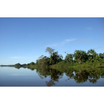 Lais Puzzle - Naturlandschaft an den Ufern des Gurupi-Flusses, der die brasilianischen Bundesstaaten Para und Maranhao trennt - 2.000 Teile