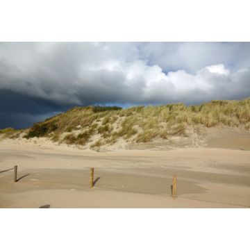 Lais Puzzle - Dünen bei Burgh-Haamstede, Niederlande - 2.000 Teile