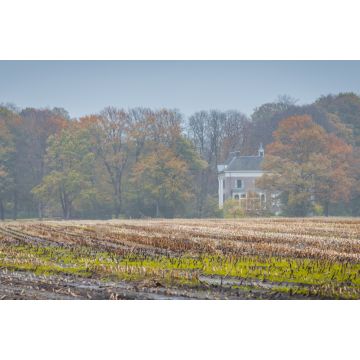 Lais Puzzle - Herrenhaus von Estate Dickninge zwischen Bäumen in Herbstfarben in De Wolden, Drenthe, Niederlande - 2.000 Teile