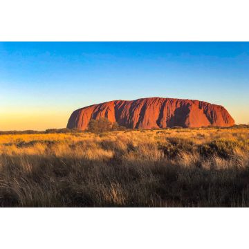 Lais Puzzle - Szenisches Ansicht vom Ayers Rock auf Feld gegen klaren blauen Himmel - 2.000 Teile