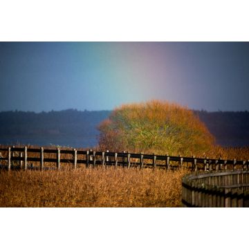 Lais Puzzle - Holzbrücke Skive Dänemark - 2.000 Teile
