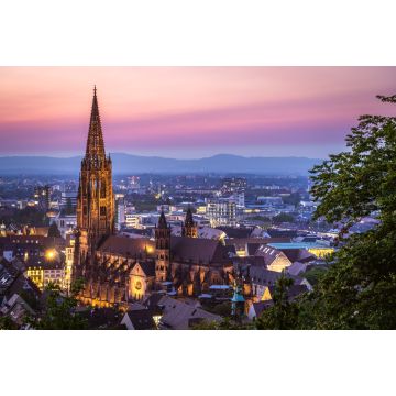 Lais Puzzle - Ansicht des Münsters Freiburg Baden Württemberg, Deutschland - 2.000 Teile