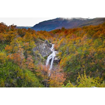 Lais Puzzle - Wasserfall an einer Straße in Patagonien. Irgendwo in der Straße "Siete lagos". Neuquén - Argentinien - 2.000 Teile