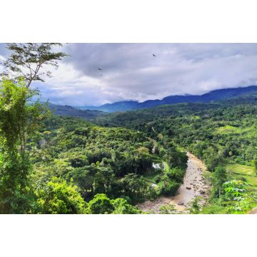 Lais Puzzle - Tarapoto, Peru - 2.000 Teile