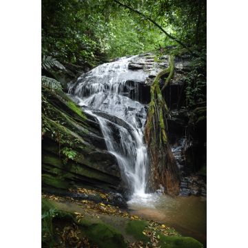 Lais Puzzle - Wasserfall in Lomba Grande - ländlicher Bezirk der Stadt Novo Hamburgo - RS, Brasilien - 2.000 Teile