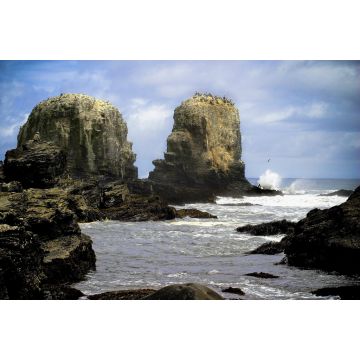 Lais Puzzle - Punta Lobos - Pichilemu - Chile - 2.000 Teile