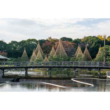 Lais Puzzle - Shirotori-Garten, Aichi, Japan - 2.000 Teile