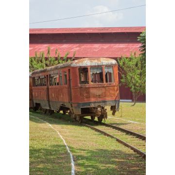 Lais Puzzle - Verlassener Eisenbahnwaggon in Porto Velho, Brasilien - 2.000 Teile