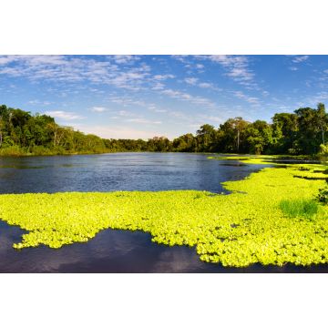 Lais Puzzle - Panoramablick auf den Marañon-Fluss im Pacaya Samiria Reservat in Peru, in der Nähe von Iquitos. Der Fluss der Spiegel - 2.000 Teile