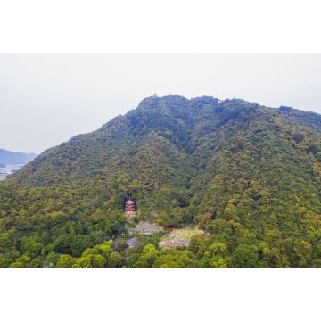 Lais Puzzle - Pagode auf dem Berg Kinka, Japan - 2.000 Teile