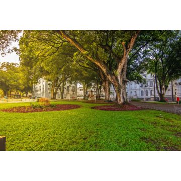 Lais Puzzle - Zentrum João Pessoa 5 - Paraíba, Brasilien - 2.000 Teile