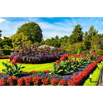 Lais Puzzle - Blumen in den Kew Royal Botanic Gardens in London, England - 2.000 Teile