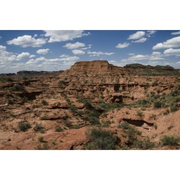 Lais Puzzle - Der Nationalpark Sierra de las Quijadas liegt in der nordwestlichen Provinz San Luis, Argentinien, in den Departements Belgrano und Ayacucho, und umfasst eine Fläche von 73.534 ha. - 2.000 Teile