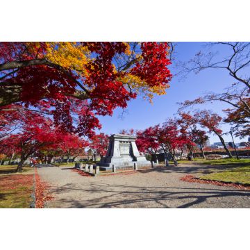 Lais Puzzle - Herbst im Iwate-Park, Morioka-Stadt, Iwate, Japan - 2.000 Teile