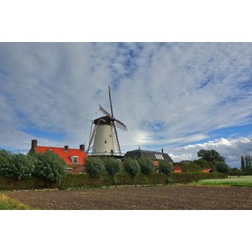Lais Puzzle - Windmühle Molen de Lelie in Koudekerke, Niederlande - 2.000 Teile
