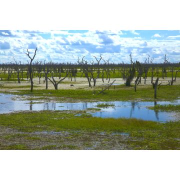 Lais Puzzle - Bañado la Estrella Formosa, Argentinien - 2.000 Teile