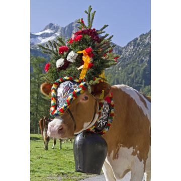 Lais Puzzle - Kuh/Kühe - 2.000 Teile