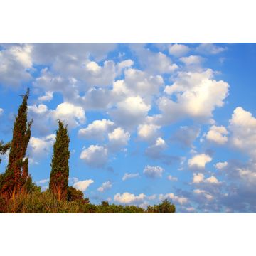 Lais Puzzle - Wolken über den Hügeln von Korcula - 2.000 Teile