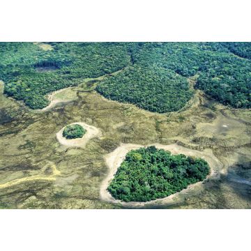 Lais Puzzle - Amazonaswald in der Nähe der Stadt Serra do Navio, Brasilien - 2.000 Teile