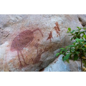 Lais Puzzle - Aborigine-Malereien auf dem Felsen. Mauern unter dem Schatten. Bedeutung: Tiere, Emu, Frosch. Elsey-Nationalpark, Victoria-Fluss, Northern Territory, Australien - 2.000 Teile