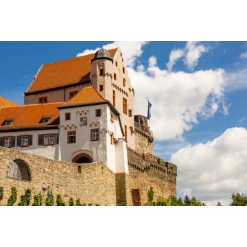 Lais Puzzle - Niemcy, zamek w Alzenau. Zabytki Bawarii. Budowla z kamienia. Lato w miescie. Historyczne miejsca w Niemczech. - 2.000 Teile