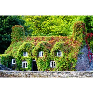 Lais Puzzle - Pont Fawr, berühmte mittelalterliche Steinbrücke über den Fluss Conwy, erbaut von Inigo Jones, und Tu-Hwnt-l'r Bont - altes, mit Weinlaub bedecktes Häuschen, Llanrwst, Caernarfon, Nordwales - 2.000 Teile