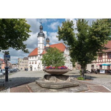 Lais Puzzle - Am Markt Rathaus in Eisenberg Thüringen - 2.000 Teile