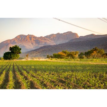 Lais Puzzle - Mexikanische Landschaften in Cuautla Morelos, Mexiko - 2.000 Teile