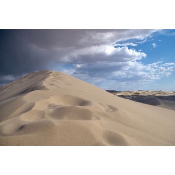 Lais Puzzle - Samalayuca-Wüste in Chihuahua, Mexiko - 2.000 Teile