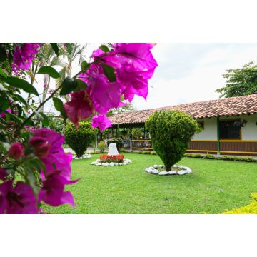 Lais Puzzle - Finca cafetera Quindio Kolumbien - 2.000 Teile