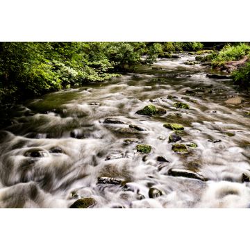 Lais Puzzle - Auldhouse Burn im Rouken Glen Park, Giffnock, East Renfrewshire, Glasgow Südseite, Schottland - 2.000 Teile
