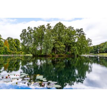 Lais Puzzle - Insel auf dem Teich im Rouken Glen Park, Giffnock, East Renfrewshire, Südseite Glasgow, Schottland - 2.000 Teile