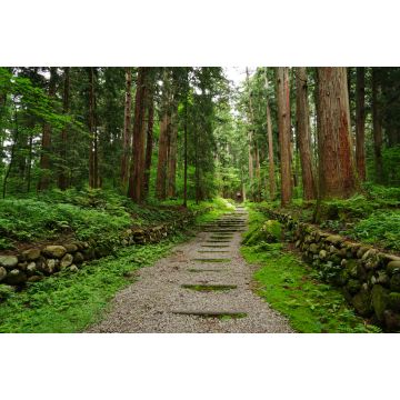 Lais Puzzle - Heisenji Hakusan Jinja-Schrein, Japan - 2.000 Teile