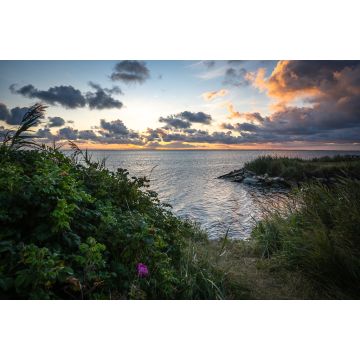 Lais Puzzle - Morgenstimmung am Ringkøbing Fjord in der Nähe von Hvide Sande, Dänemark - 2.000 Teile