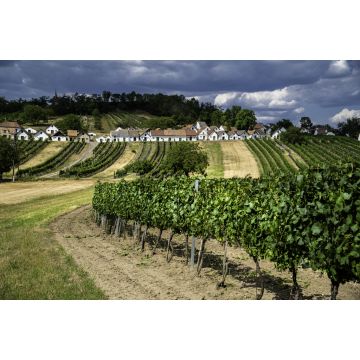 Lais Puzzle - Kellergasse Mistelbach - 2.000 Teile