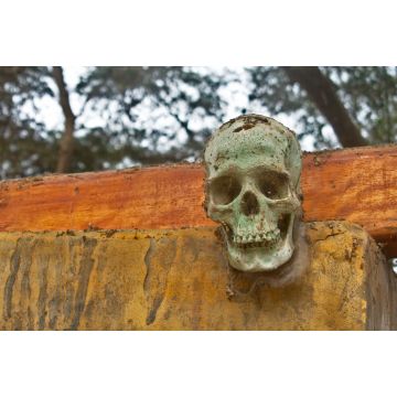 Lais Puzzle - Skulptur eines menschlichen Schädels im Park der Cachiche-Hexen in Ica, Peru - 2.000 Teile