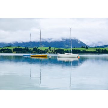Lais Puzzle - Blick auf den Forggensee in Füssen, Bayern, Deutschland - 2.000 Teile